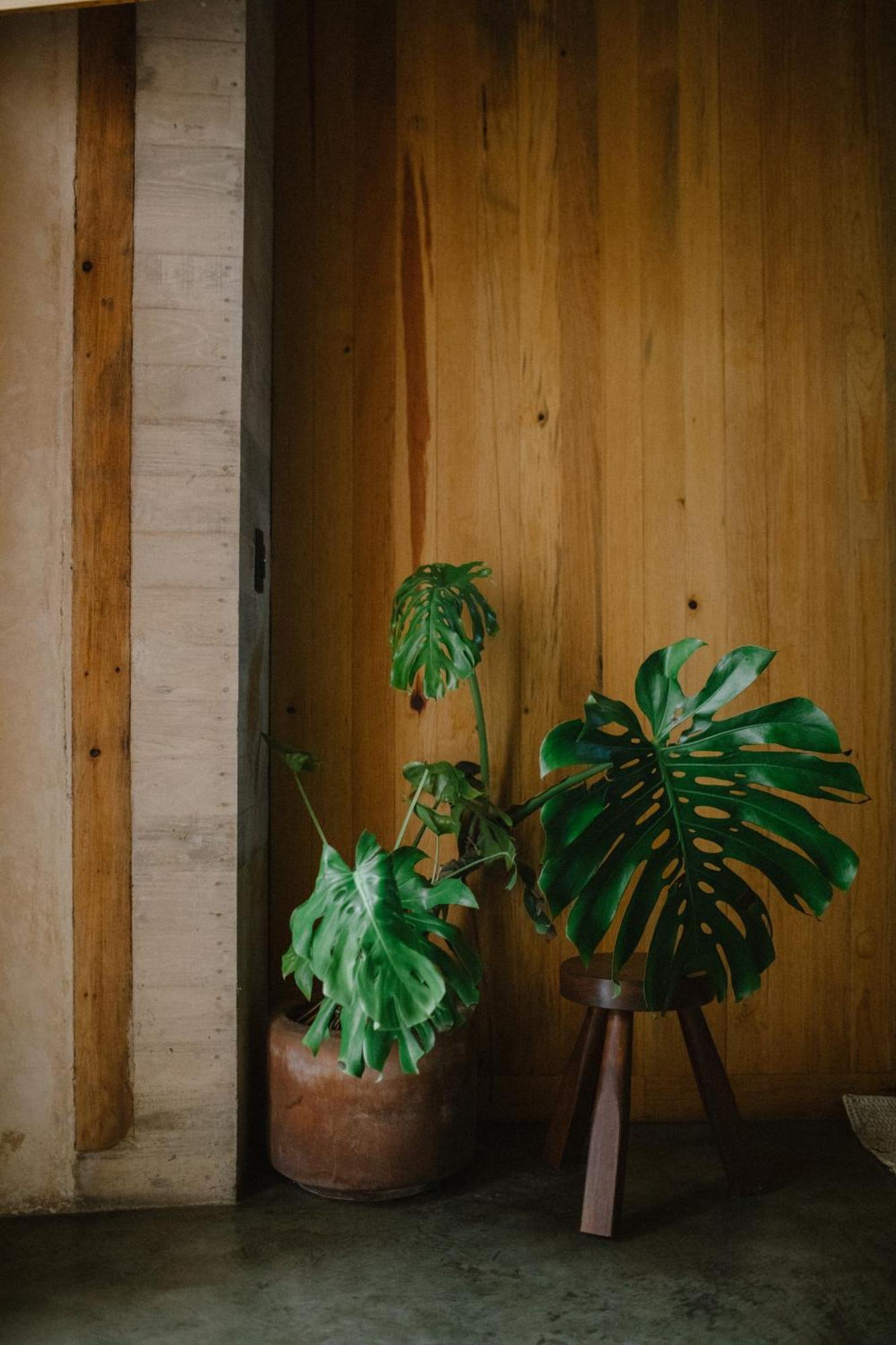 Hotel Escondido Oaxaca, A Member Of Design Hotels Exterior foto